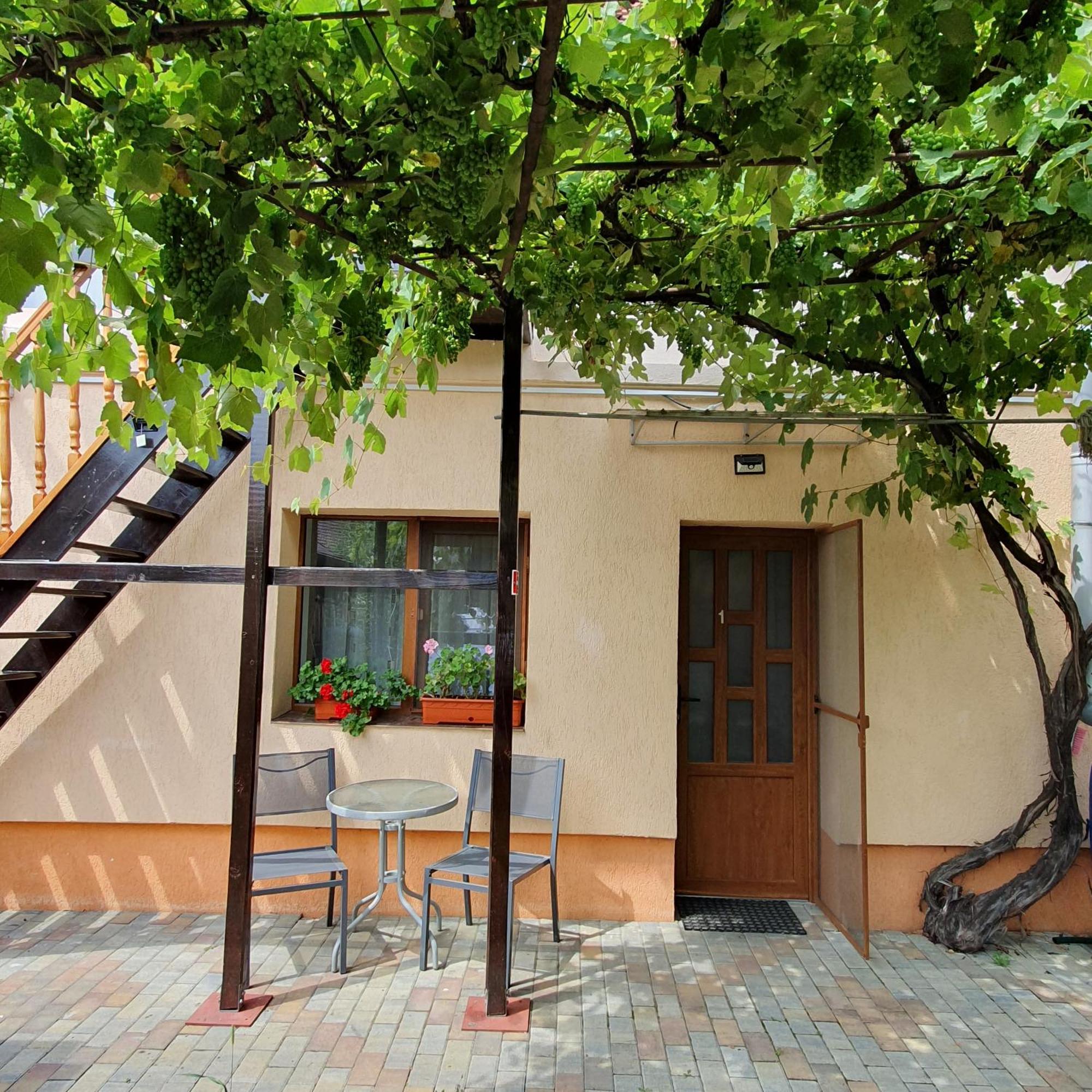 Lavender Apartments Sânpetru Exterior foto
